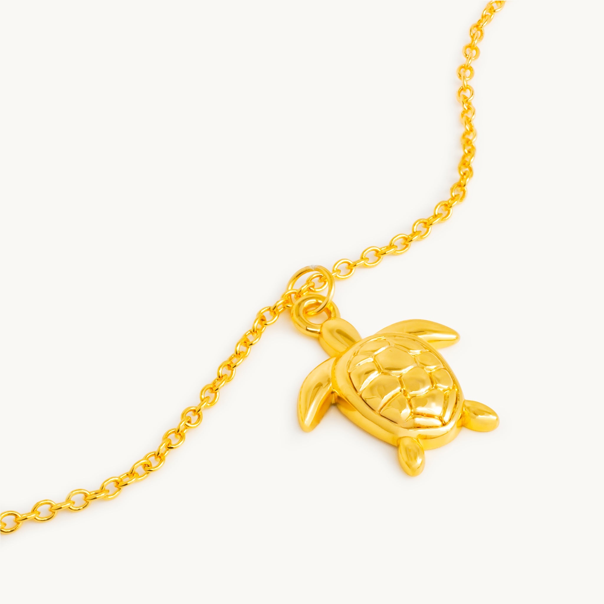 Ketting van een Kaspisch wezen 3