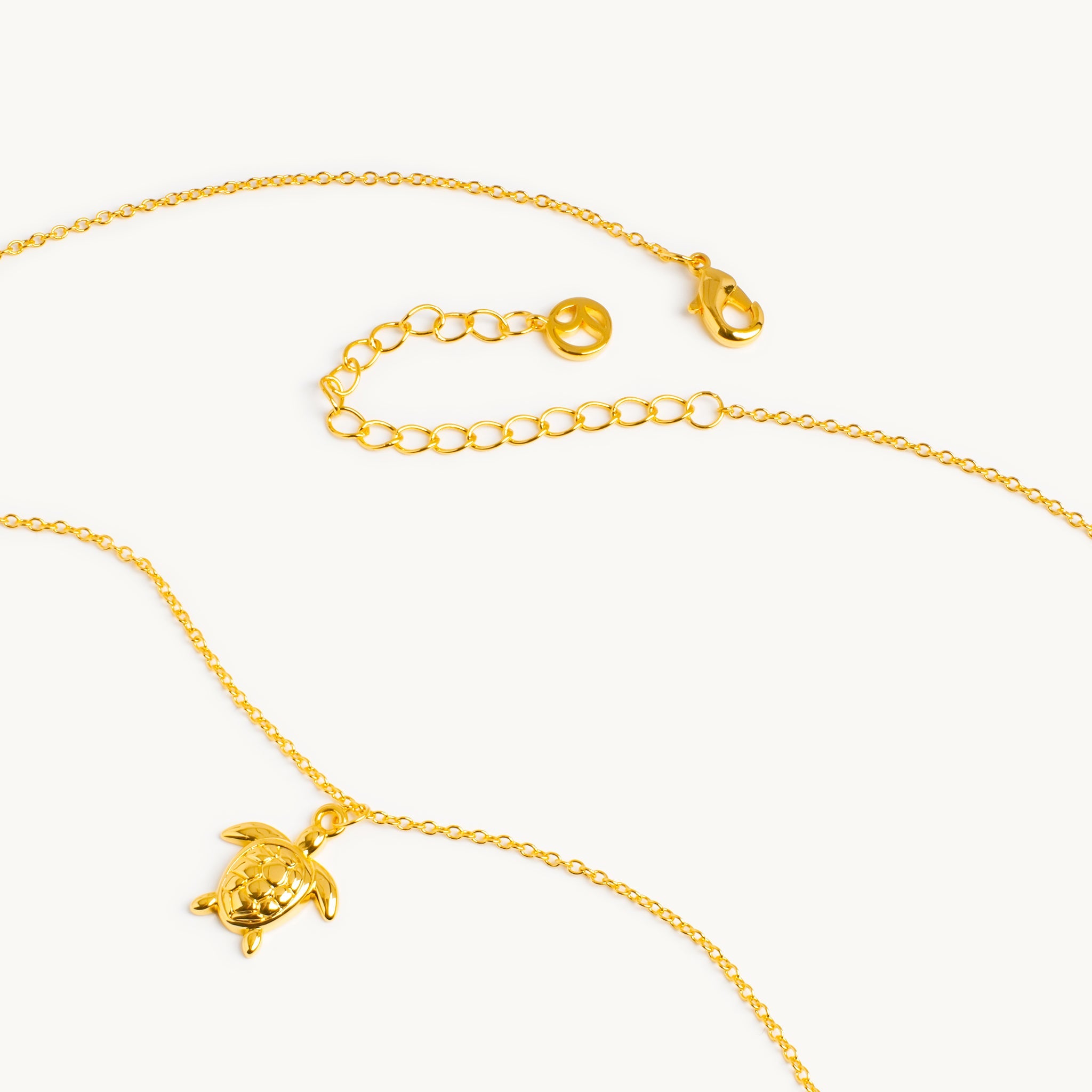Ketting van een Kaspisch wezen 4