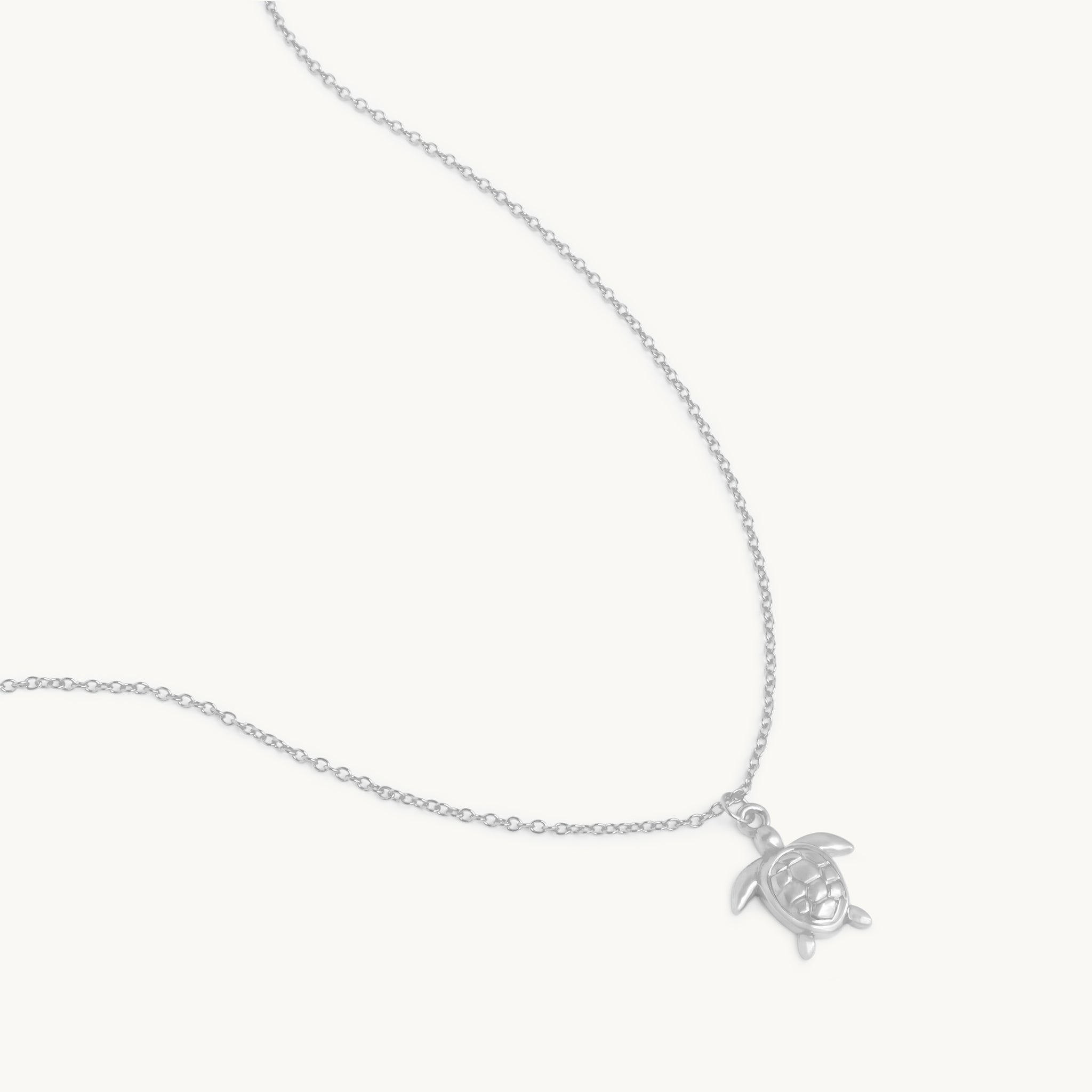 Ketting van een Kaspisch wezen 5