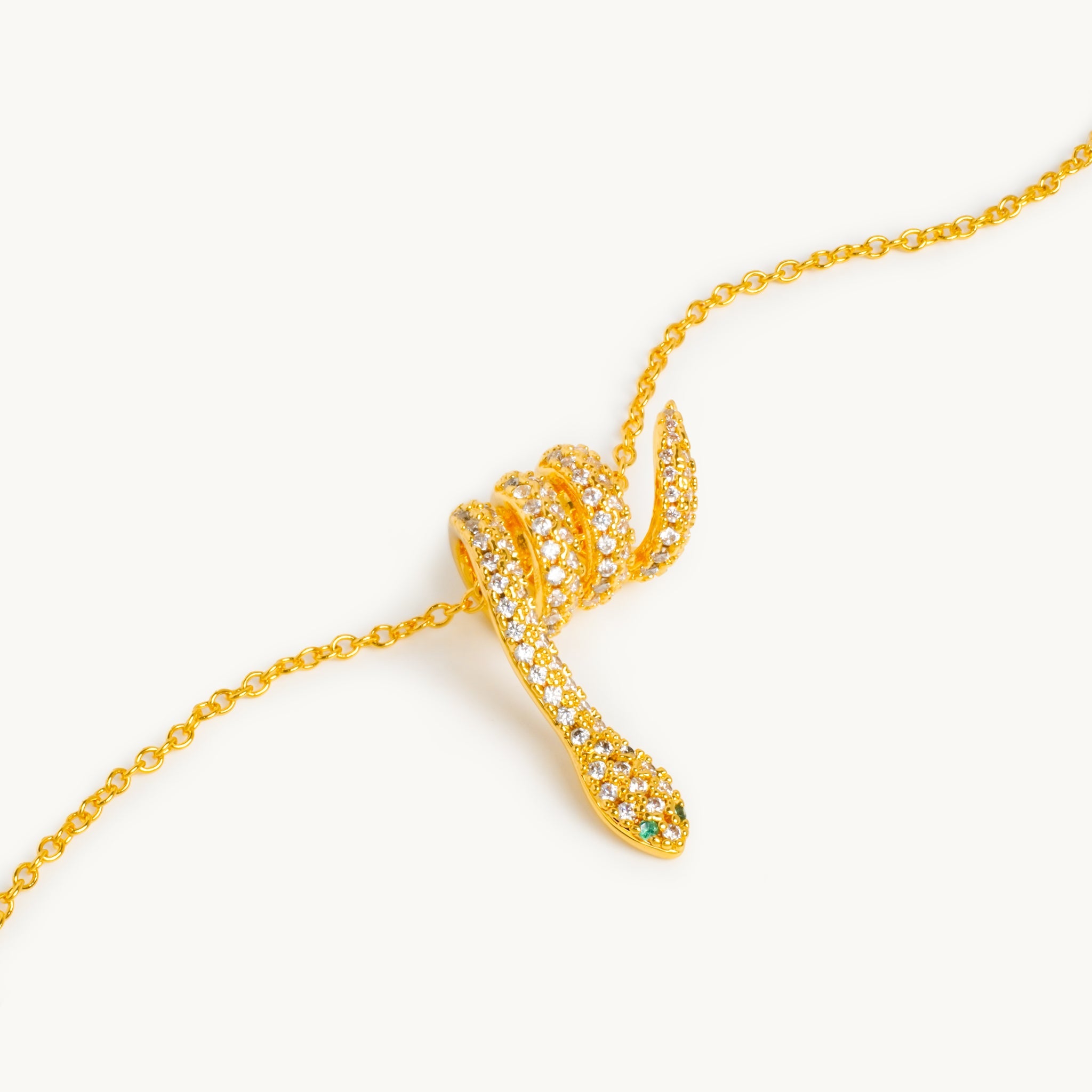 Neptunus ketting 2