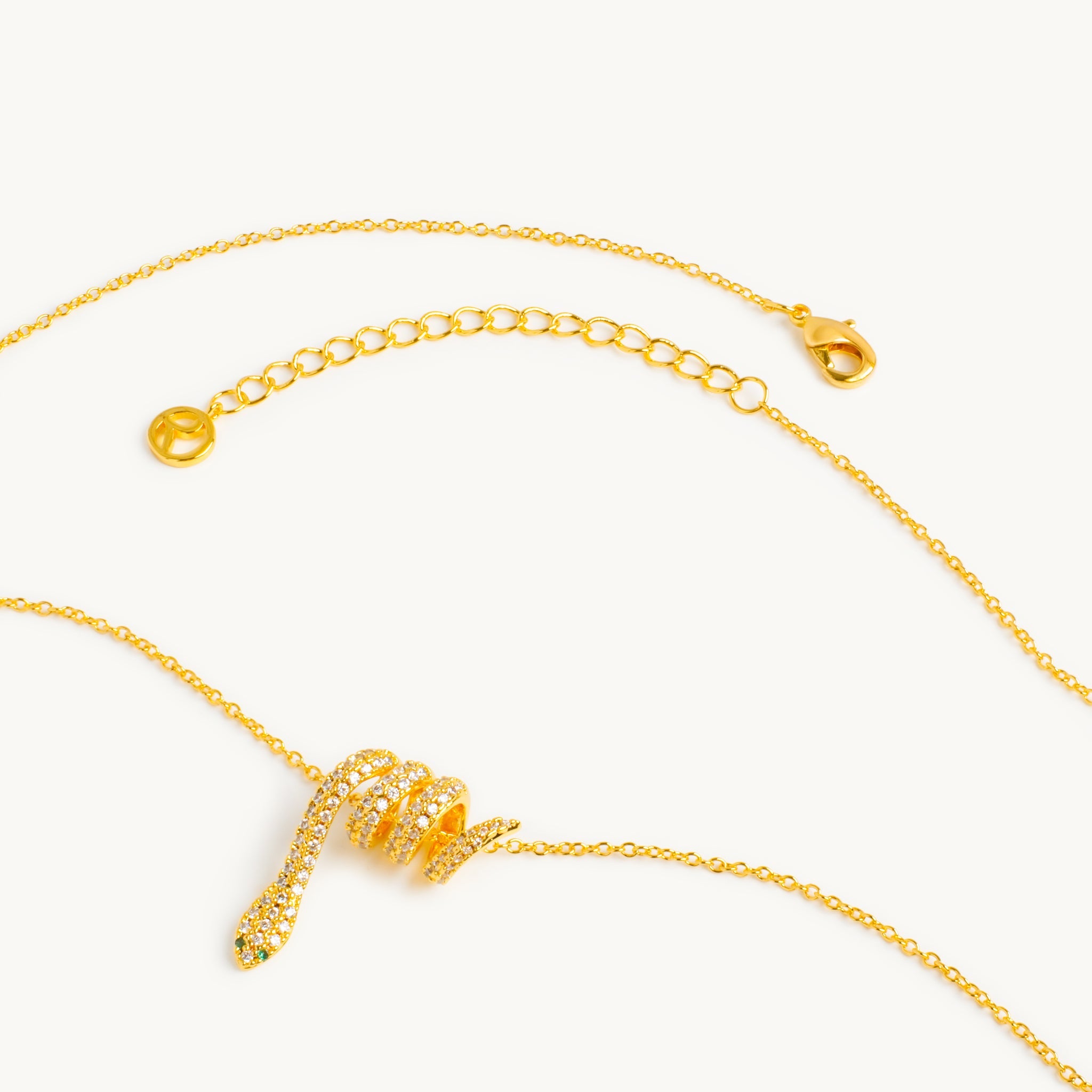 Neptunus ketting 3
