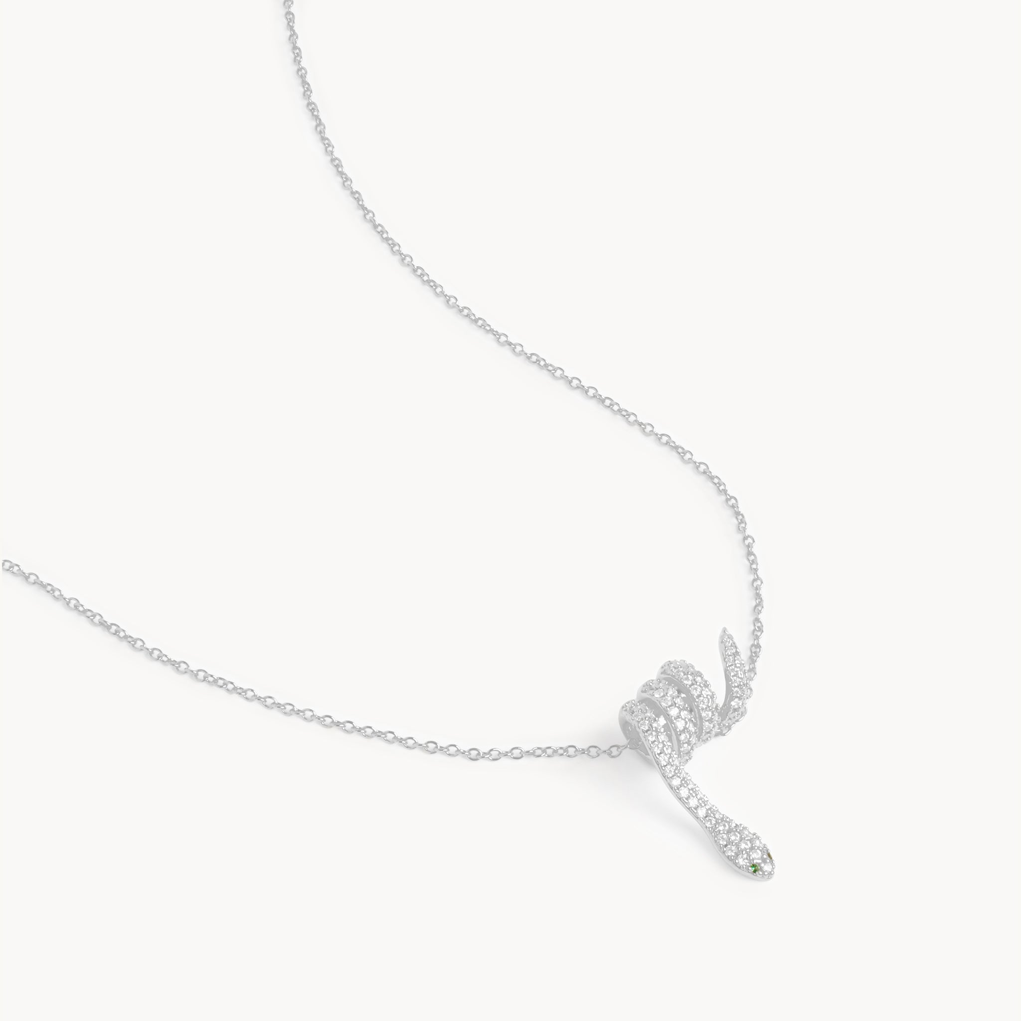 Neptunus ketting 4