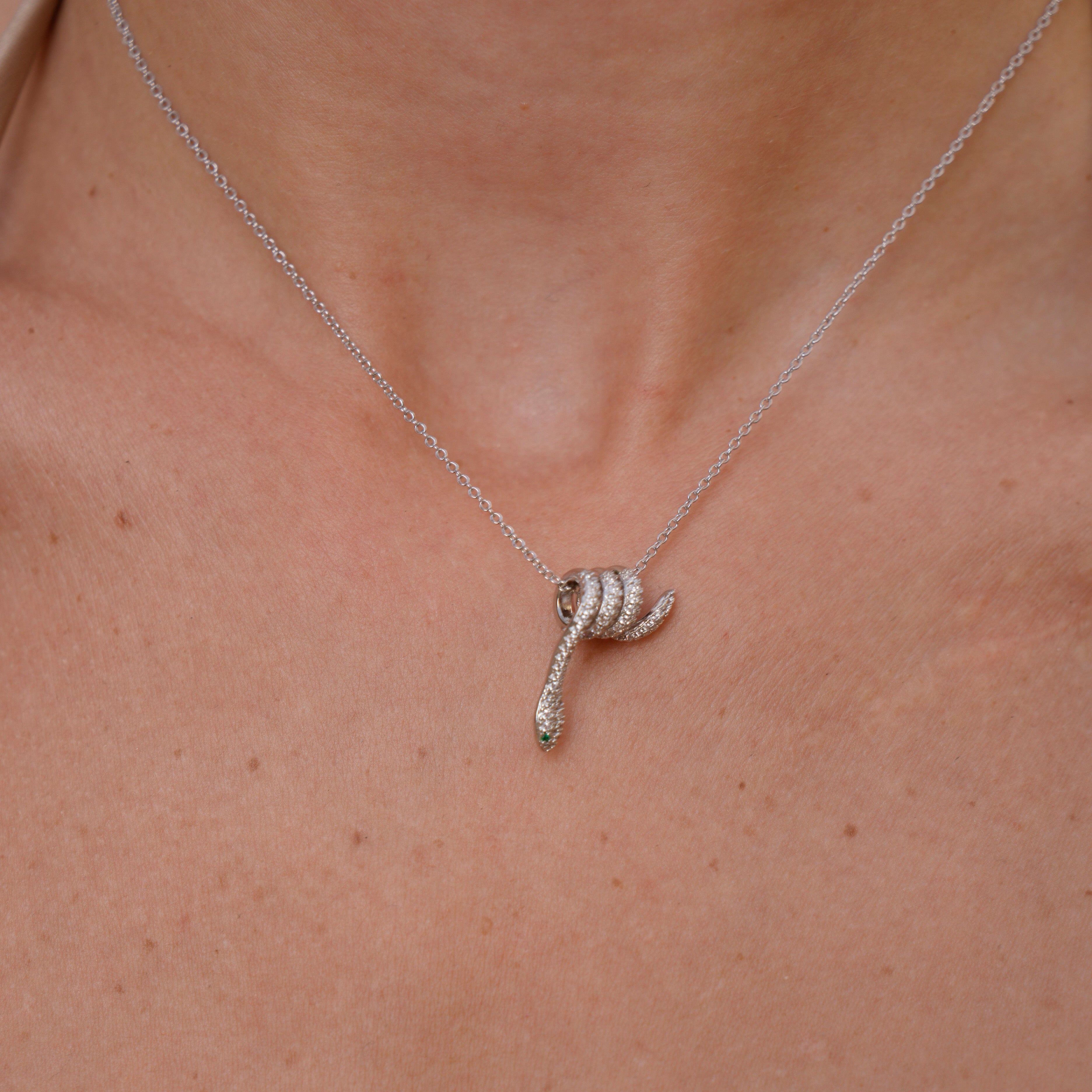 Neptunus ketting 5