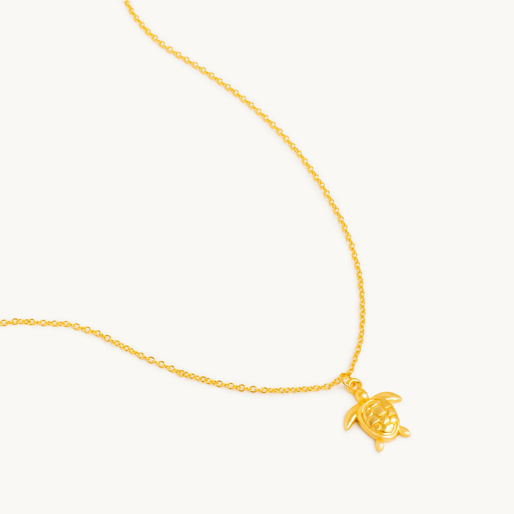 Ketting van een Kaspisch wezen 0
