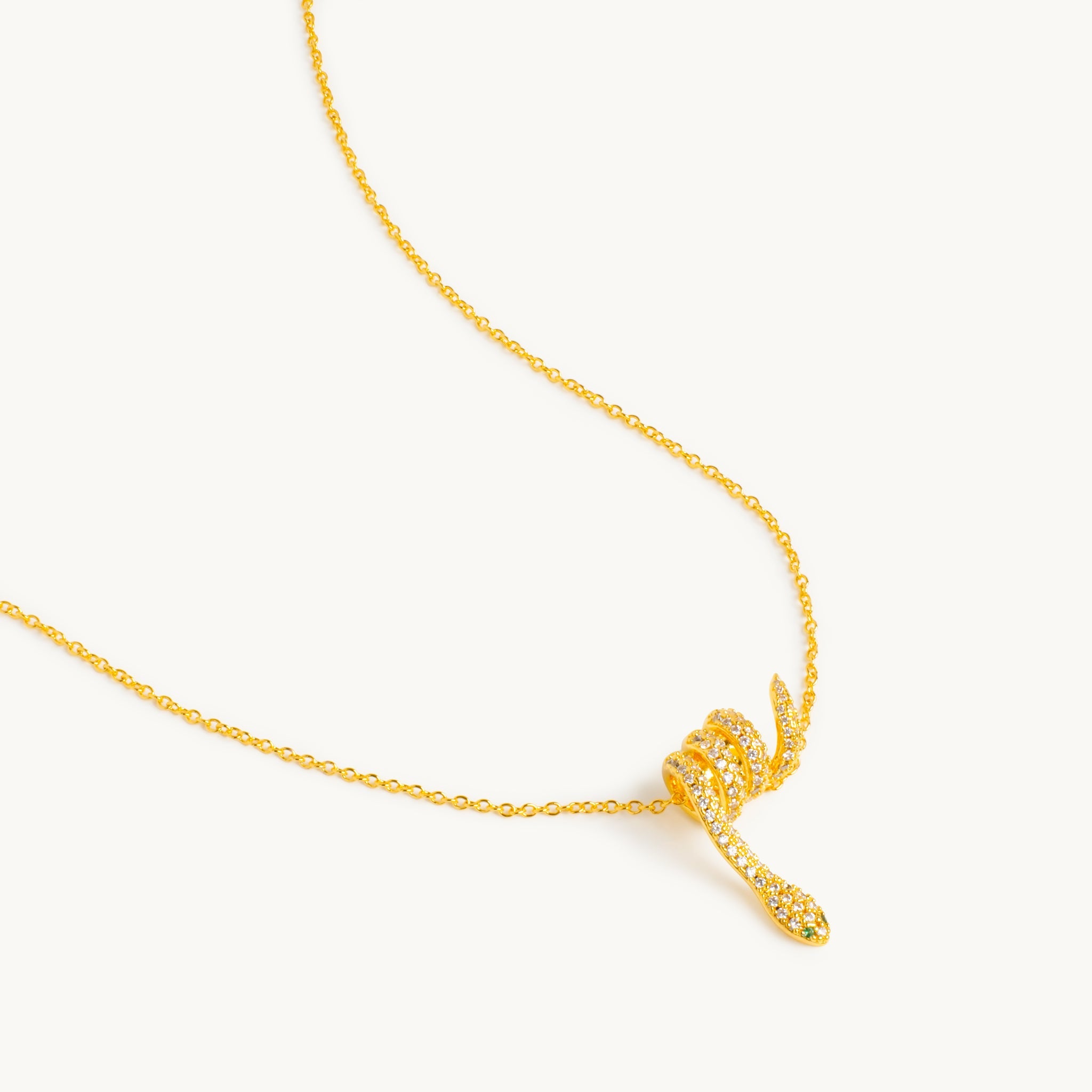Neptunus ketting 0